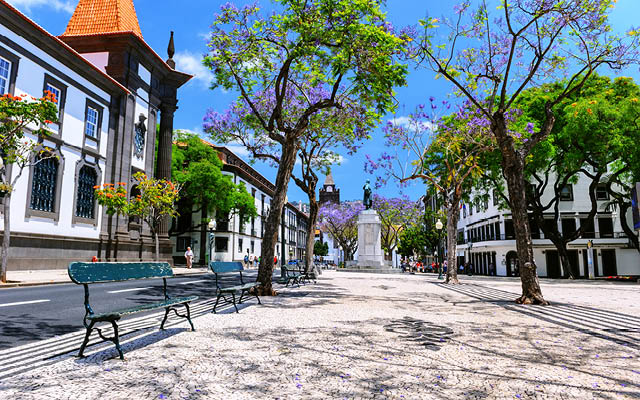 Mageløse Madeira